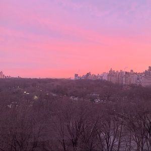 Meet your Posher, Soph